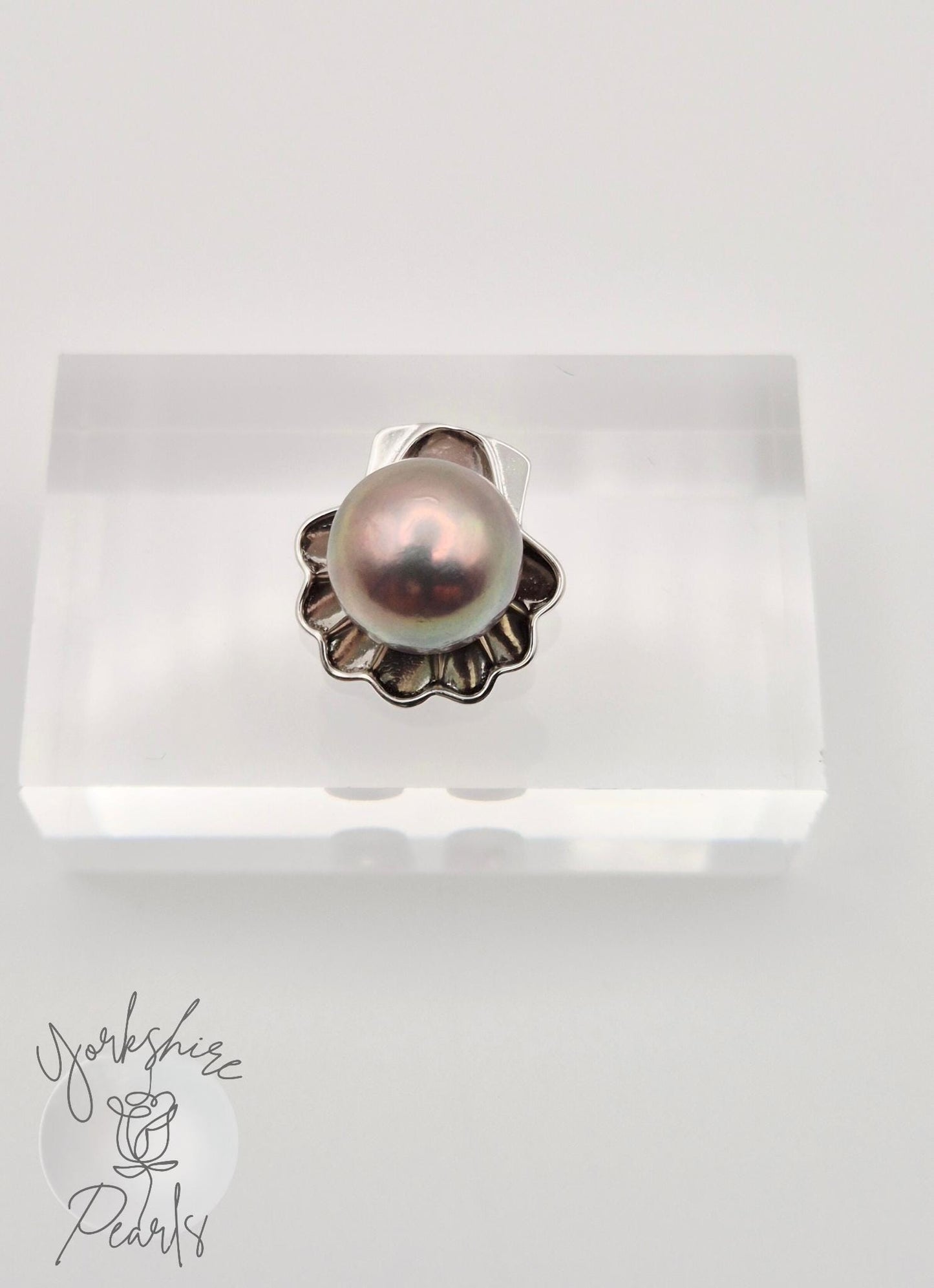 Genuine Metallic Pearl Clam Shell Pendant