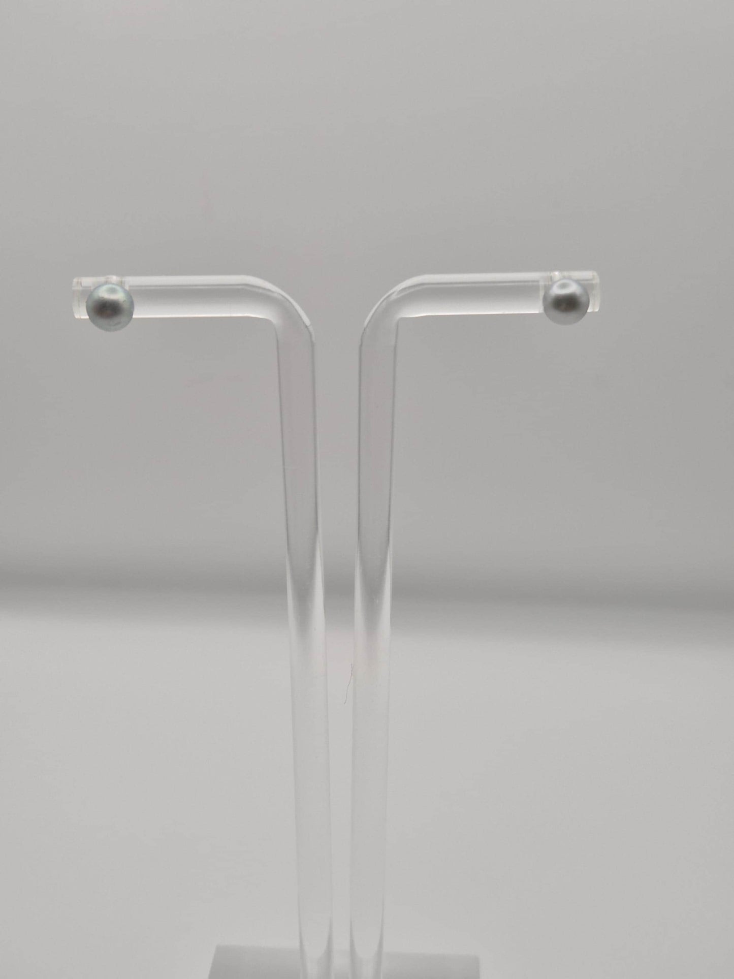 Madama Saltwater Pearl Simple Stud Earrings - Sterling Silver