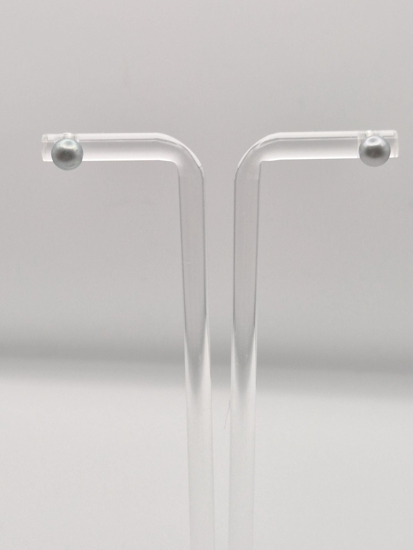 Madama Saltwater Pearl Simple Stud Earrings - Sterling Silver